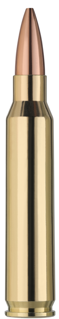 .223 Rem / 5.56 ammunition