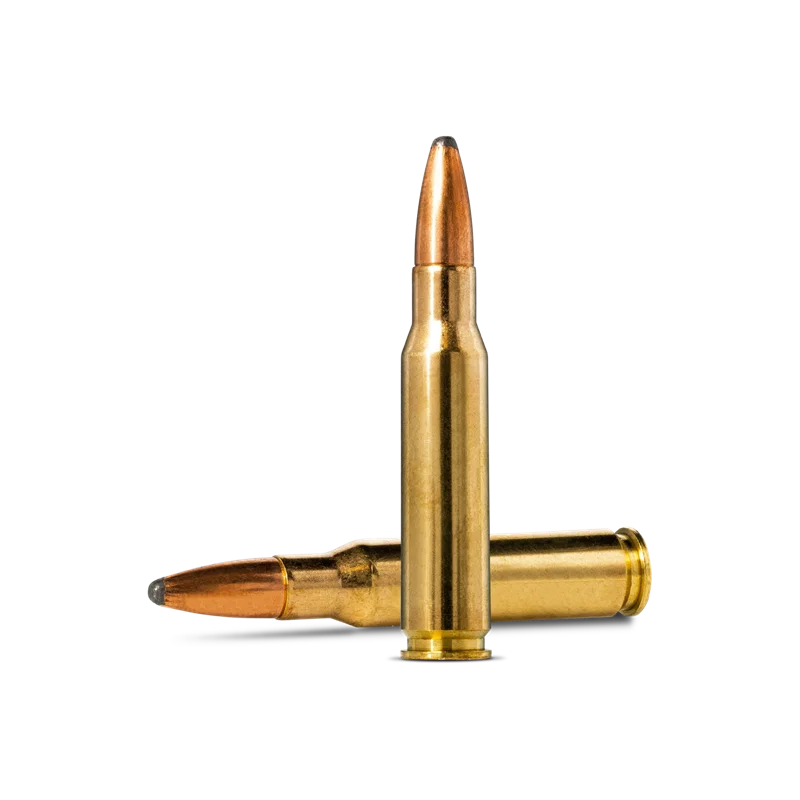 .308 Win ammunition